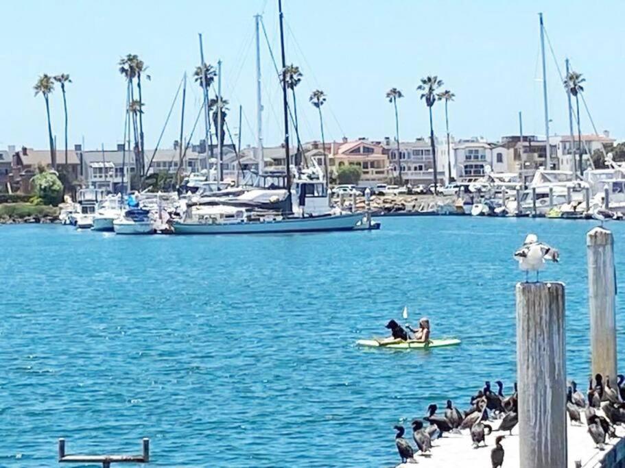 Gateway To Oxnard Beach Kültér fotó